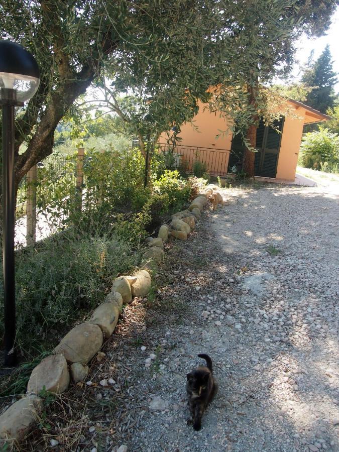 Agriturismo Ardizio 43 Пезаро Экстерьер фото